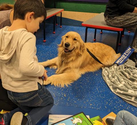 Read to a Dog