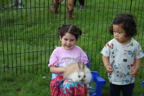 toddlers petting a rabbit