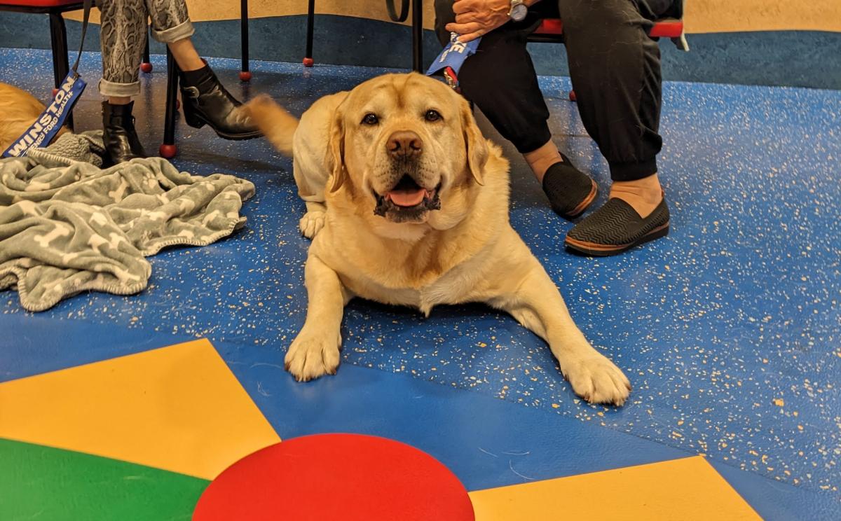 Read to a Dog