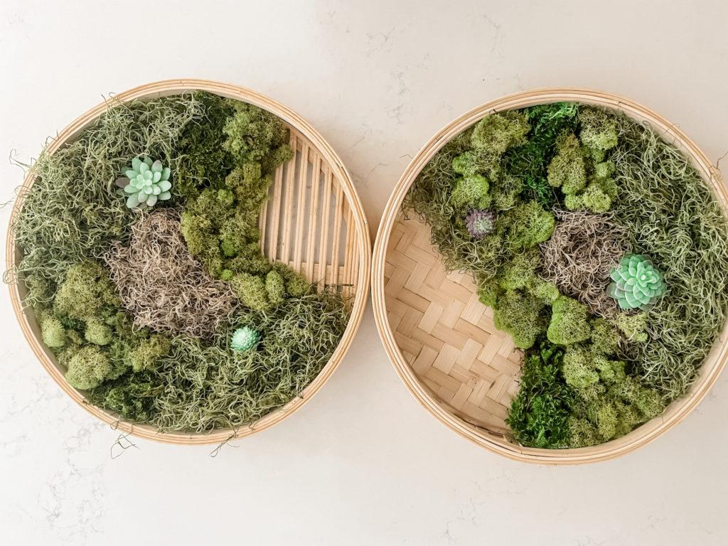 moss in round wooden trays