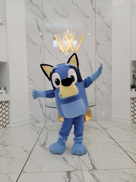 Your favorite Blue Heeler!